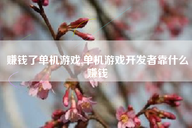 赚钱了单机游戏,单机游戏开发者靠什么赚钱