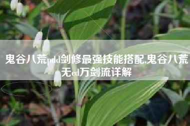 鬼谷八荒pdd剑修最强技能搭配,鬼谷八荒无cd万剑流详解