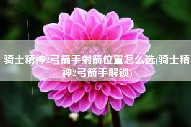 骑士精神2弓箭手射箭位置怎么选(骑士精神2弓箭手解锁)