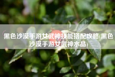 黑色沙漠手游女武神技能搭配攻略(黑色沙漠手游女武神水晶)