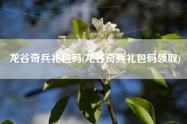 龙谷奇兵礼包码(龙谷奇兵礼包码领取)