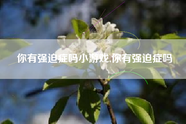 你有强迫症吗小游戏,你有强迫症吗