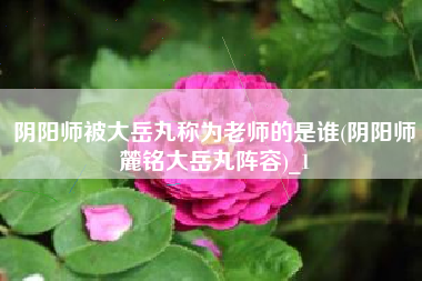 阴阳师被大岳丸称为老师的是谁(阴阳师麓铭大岳丸阵容)_1