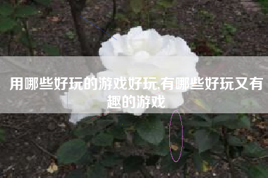 用哪些好玩的游戏好玩,有哪些好玩又有趣的游戏