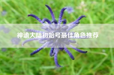 神谕大陆初始号最佳角色推荐