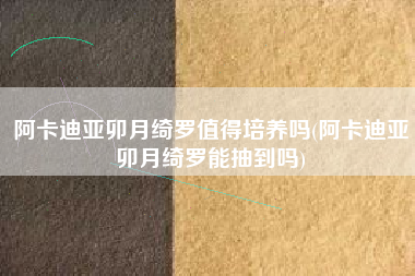 阿卡迪亚卯月绮罗值得培养吗(阿卡迪亚卯月绮罗能抽到吗)
