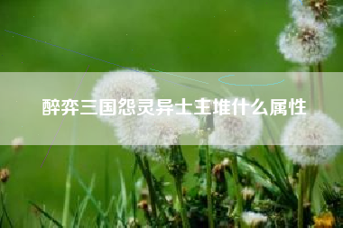 醉弈三国怨灵异士主堆什么属性