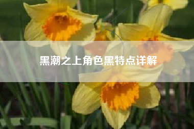 黑潮之上角色黑特点详解