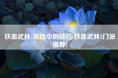 铁血武林2游戏中的技巧(铁血武林2门派推荐)