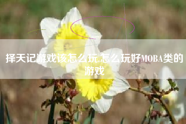 择天记游戏该怎么玩,怎么玩好MOBA类的游戏
