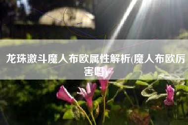 龙珠激斗魔人布欧属性解析(魔人布欧厉害吗)