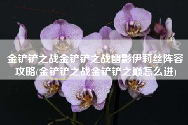 金铲铲之战金铲铲之战幽影伊莉丝阵容攻略(金铲铲之战金铲铲之巅怎么进)