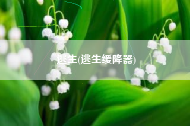 逃生(逃生缓降器)