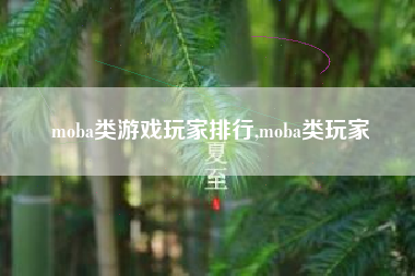 moba类游戏玩家排行,moba类玩家