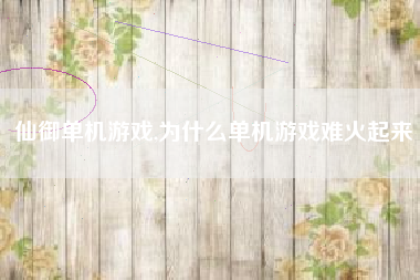 仙御单机游戏,为什么单机游戏难火起来