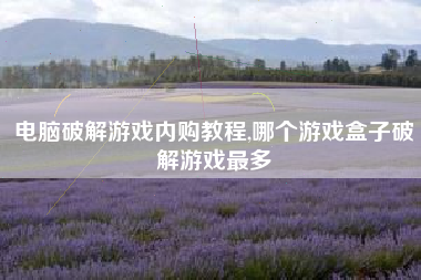 电脑破解游戏内购教程,哪个游戏盒子破解游戏最多