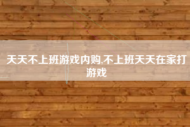 天天不上班游戏内购,不上班天天在家打游戏
