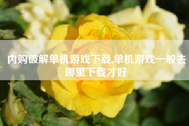 内购破解单机游戏下载,单机游戏一般去哪里下载才好