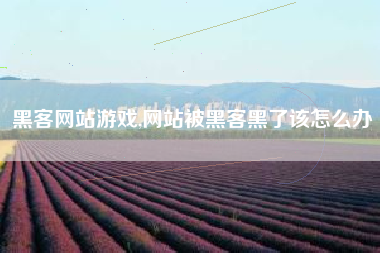 黑客网站游戏,网站被黑客黑了该怎么办