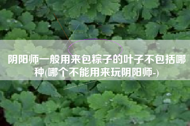 阴阳师一般用来包粽子的叶子不包括哪种(哪个不能用来玩阴阳师-)