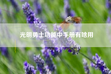 光明勇士功能中手册有啥用