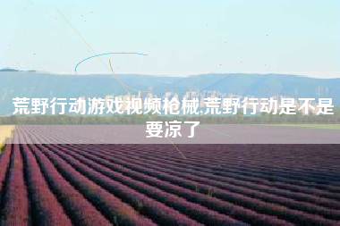 荒野行动游戏视频枪械,荒野行动是不是要凉了