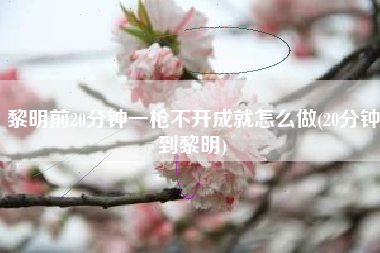 黎明前20分钟一枪不开成就怎么做(20分钟到黎明)