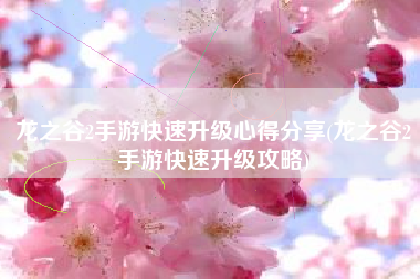 龙之谷2手游快速升级心得分享(龙之谷2手游快速升级攻略)