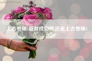 上古卷轴5新游戏如何,还是上古卷轴5