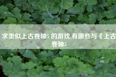 求类似上古卷轴5 的游戏,有哪些与《上古卷轴5