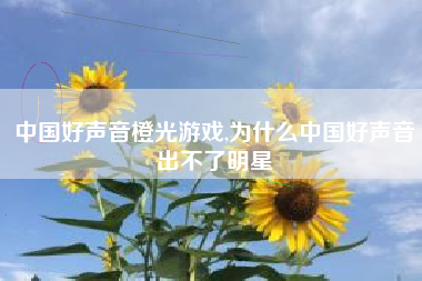 中国好声音橙光游戏,为什么中国好声音出不了明星