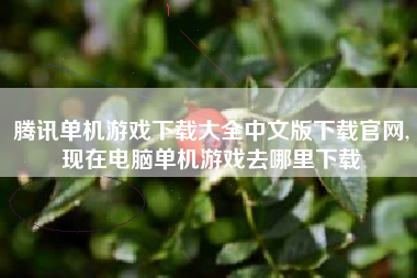 腾讯单机游戏下载大全中文版下载官网,现在电脑单机游戏去哪里下载