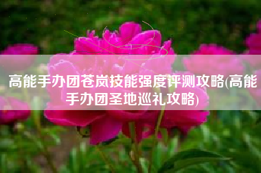 高能手办团苍岚技能强度评测攻略(高能手办团圣地巡礼攻略)