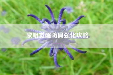 黎明觉醒防具强化攻略