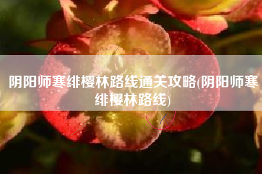 阴阳师寒绯樱林路线通关攻略(阴阳师寒绯樱林路线)