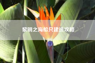 黎明之海船只建造攻略