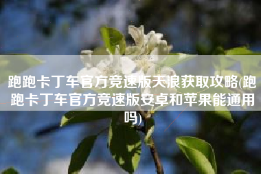 跑跑卡丁车官方竞速版天浪获取攻略(跑跑卡丁车官方竞速版安卓和苹果能通用吗)