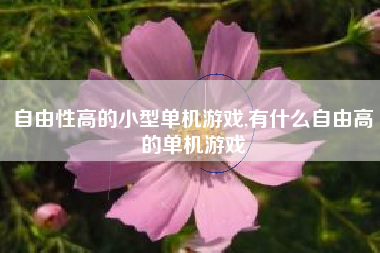 自由性高的小型单机游戏,有什么自由高的单机游戏