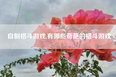自制格斗游戏,有哪些奇葩的格斗游戏