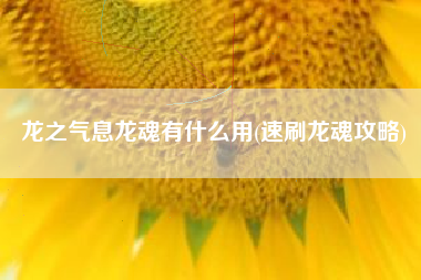 龙之气息龙魂有什么用(速刷龙魂攻略)