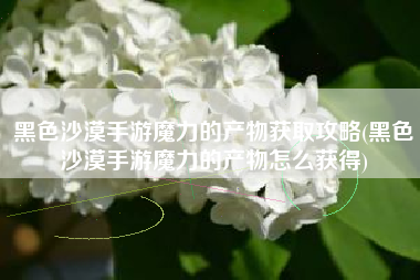 黑色沙漠手游魔力的产物获取攻略(黑色沙漠手游魔力的产物怎么获得)