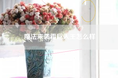 魔法来袭霜巨人王怎么样