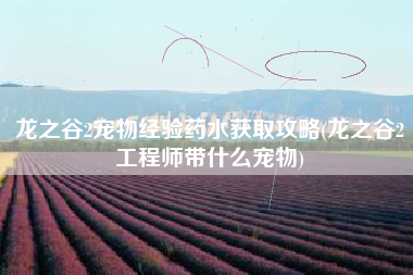 龙之谷2宠物经验药水获取攻略(龙之谷2工程师带什么宠物)
