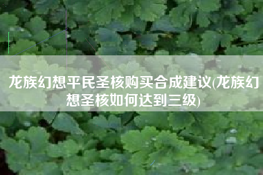 龙族幻想平民圣核购买合成建议(龙族幻想圣核如何达到三级)