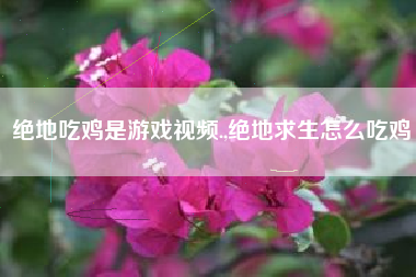 绝地吃鸡是游戏视频.,绝地求生怎么吃鸡