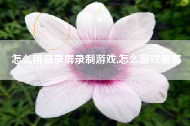 怎么用易录屏录制游戏,怎么游戏录屏
