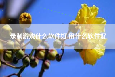录制游戏什么软件好,用什么软件好