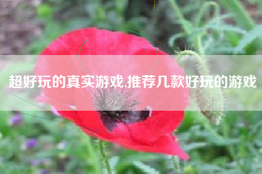 超好玩的真实游戏,推荐几款好玩的游戏