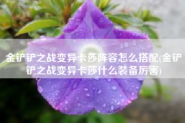 金铲铲之战变异卡莎阵容怎么搭配(金铲铲之战变异卡莎什么装备厉害)