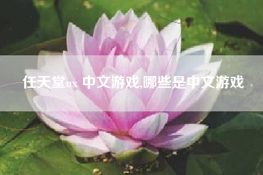 任天堂nx 中文游戏,哪些是中文游戏